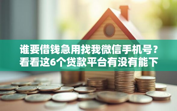 谁要借钱急用找我微信手机号？看看这6个贷款平台有没有能下款的