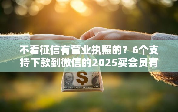 不看征信有营业执照的？6个支持下款到微信的2025买会员有额度的口子