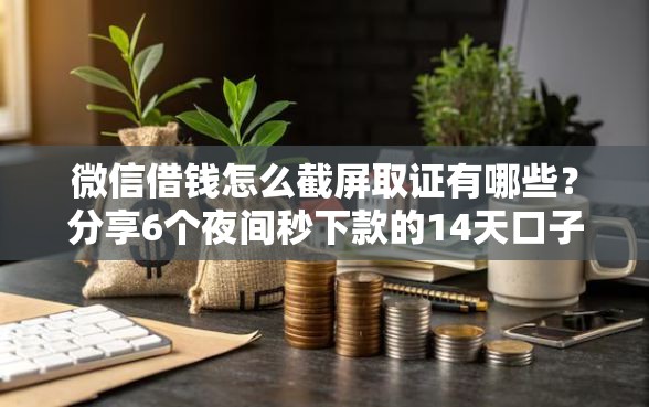 微信借钱怎么截屏取证有哪些？分享6个夜间秒下款的14天口子