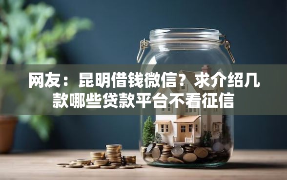 网友：昆明借钱微信？求介绍几款哪些贷款平台不看征信