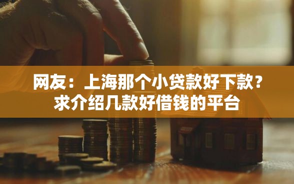 网友：上海那个小贷款好下款？求介绍几款好借钱的平台