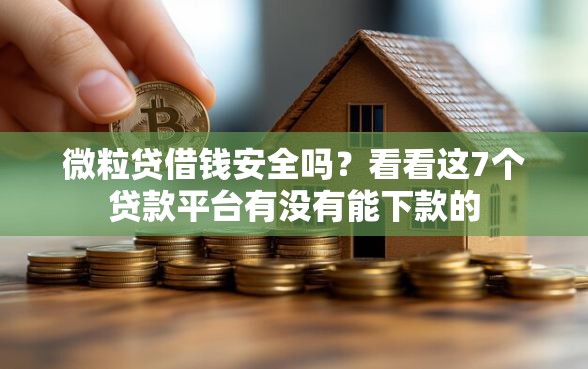 微粒贷借钱安全吗？看看这7个贷款平台有没有能下款的
