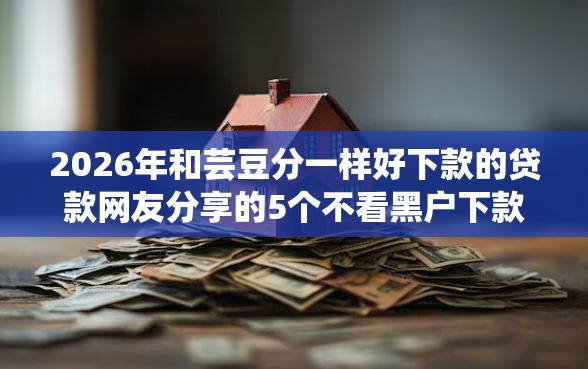 2026年和芸豆分一样好下款的贷款网友分享的5个不看黑户下款的软件我觉得不错！