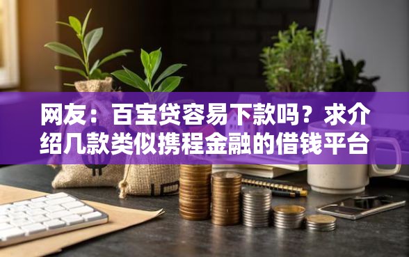 网友：百宝贷容易下款吗？求介绍几款类似携程金融的借钱平台