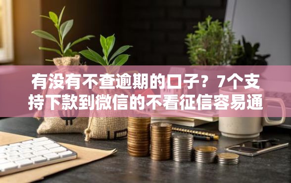 有没有不查逾期的口子？7个支持下款到微信的不看征信容易通过的贷款平台