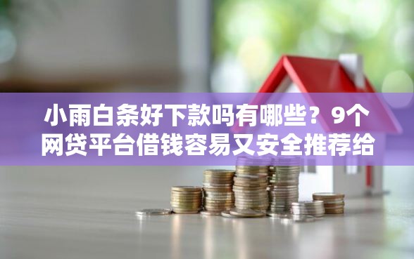 小雨白条好下款吗有哪些？9个网贷平台借钱容易又安全推荐给你