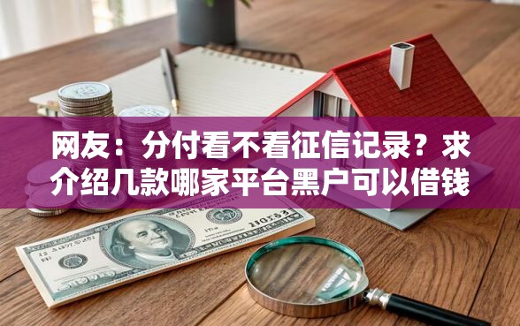 网友：分付看不看征信记录？求介绍几款哪家平台黑户可以借钱