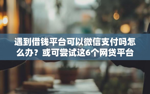 遇到借钱平台可以微信支付吗怎么办？或可尝试这6个网贷平台最怕部门