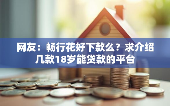 网友：畅行花好下款么？求介绍几款18岁能贷款的平台
