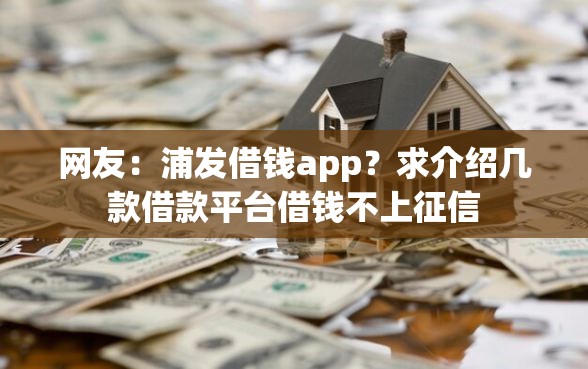 网友：浦发借钱app？求介绍几款借款平台借钱不上征信