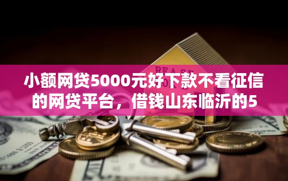 小额网贷5000元好下款不看征信的网贷平台，借钱山东临沂的5个平台介绍