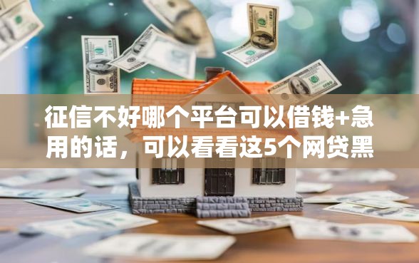 征信不好哪个平台可以借钱+急用的话，可以看看这5个网贷黑户必过软件