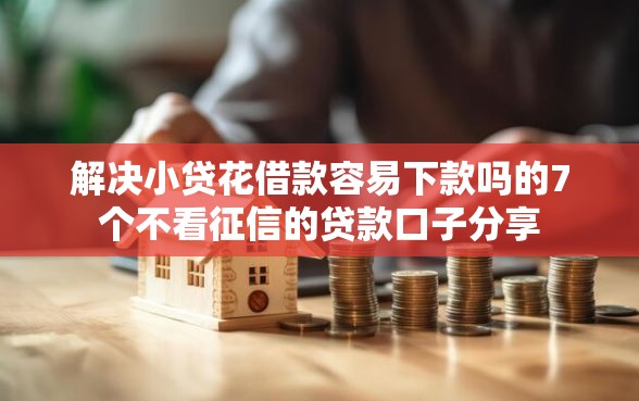 解决小贷花借款容易下款吗的7个不看征信的贷款口子分享