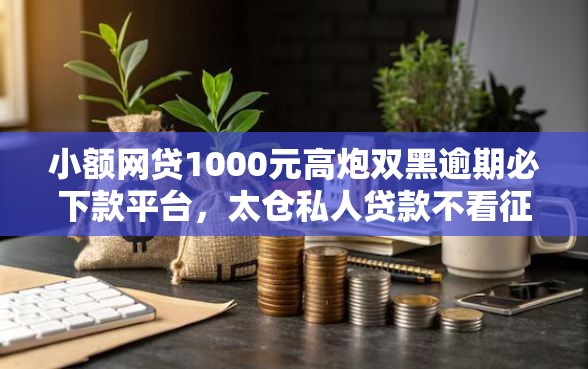 小额网贷1000元高炮双黑逾期必下款平台，太仓私人贷款不看征信的8个平台介绍