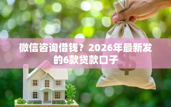 微信咨询借钱？2026年最新发的6款贷款口子