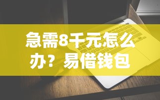 急需8千元怎么办？易借钱包是哪个公司试试这8个无门槛平台