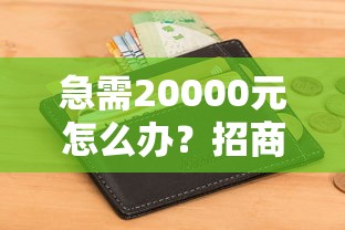 急需20000元怎么办？招商银行车贷申请不通过试试这8个无门槛平台