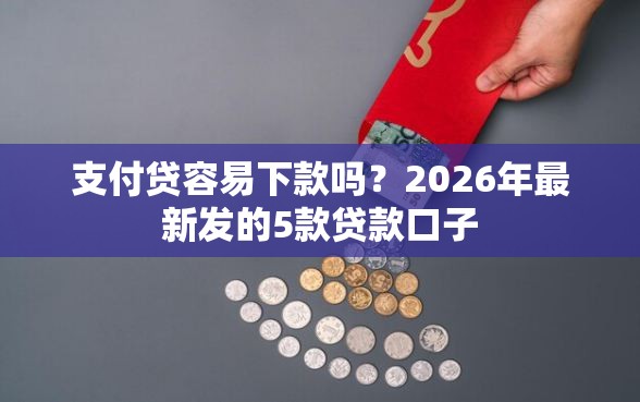支付贷容易下款吗？2026年最新发的5款贷款口子