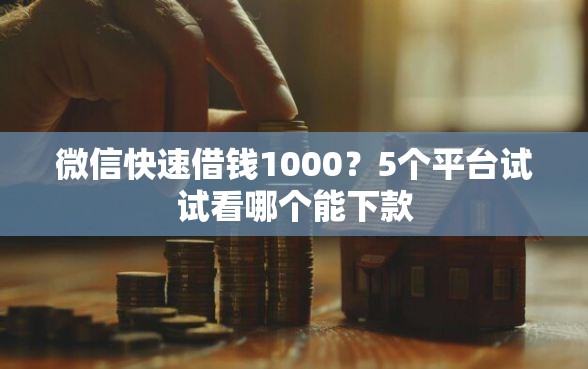 微信快速借钱1000？5个平台试试看哪个能下款