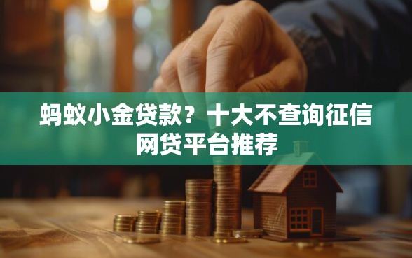 蚂蚁小金贷款？十大不查询征信网贷平台推荐