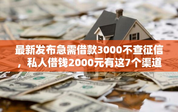 最新发布急需借款3000不查征信，私人借钱2000元有这7个渠道