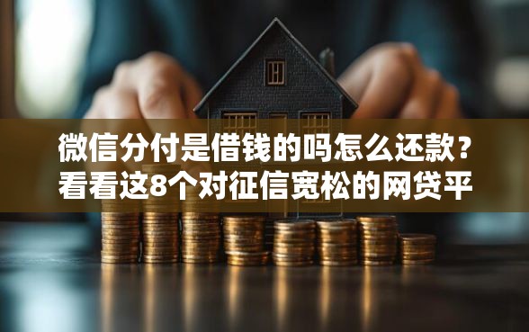 微信分付是借钱的吗怎么还款？看看这8个对征信宽松的网贷平台怎么样