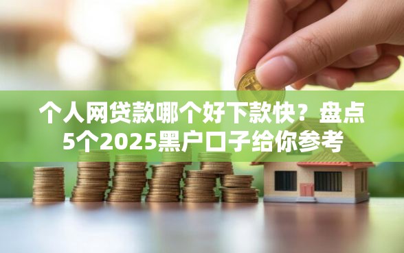 个人网贷款哪个好下款快？盘点5个2025黑户口子给你参考
