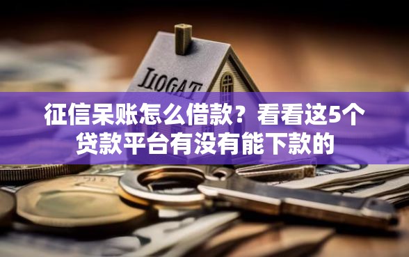 征信呆账怎么借款？看看这5个贷款平台有没有能下款的