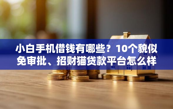 小白手机借钱有哪些？10个貌似免审批、招财猫贷款平台怎么样合集