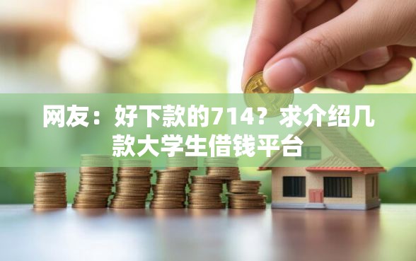 网友：好下款的714？求介绍几款大学生借钱平台