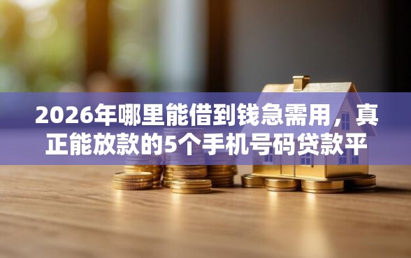2026年哪里能借到钱急需用，真正能放款的5个手机号码贷款平台推荐