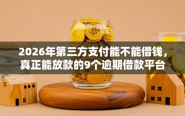 2026年第三方支付能不能借钱，真正能放款的9个逾期借款平台推荐