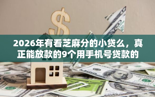 2026年有看芝麻分的小贷么，真正能放款的9个用手机号贷款的平台推荐