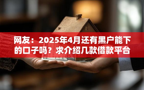 网友：2025年4月还有黑户能下的口子吗？求介绍几款借款平台借钱利息最低