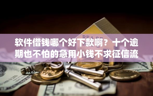 软件借钱哪个好下款啊？十个逾期也不怕的急用小钱不求征信流水轻松贷的app