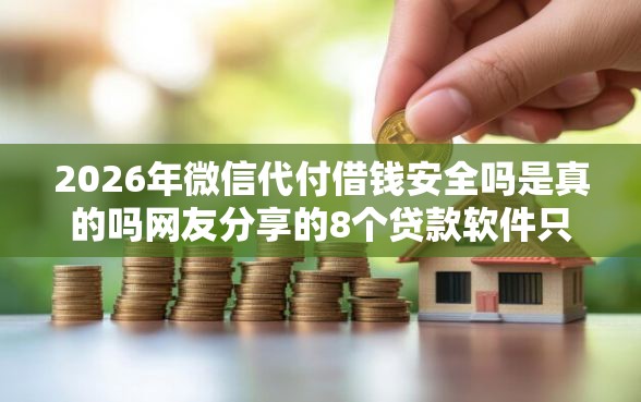 2026年微信代付借钱安全吗是真的吗网友分享的8个贷款软件只要申请就通过我觉得不错！
