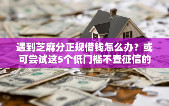 遇到芝麻分正规借钱怎么办？或可尝试这5个低门槛不查征信的平台