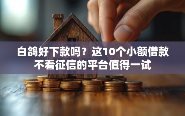 白鸽好下款吗？这10个小额借款不看征信的平台值得一试
