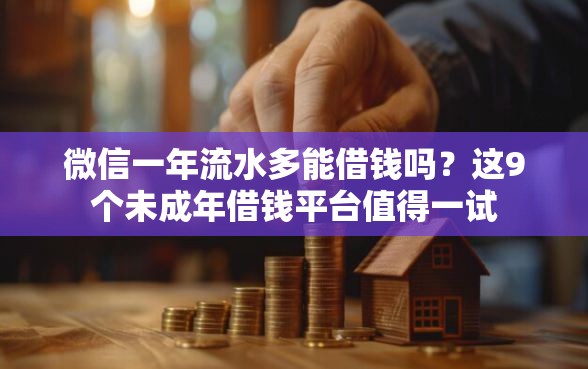 微信一年流水多能借钱吗？这9个未成年借钱平台值得一试