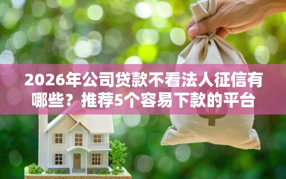 2026年公司贷款不看法人征信有哪些？推荐5个容易下款的平台
