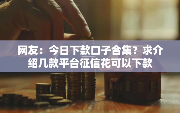 网友：今日下款口子合集？求介绍几款平台征信花可以下款