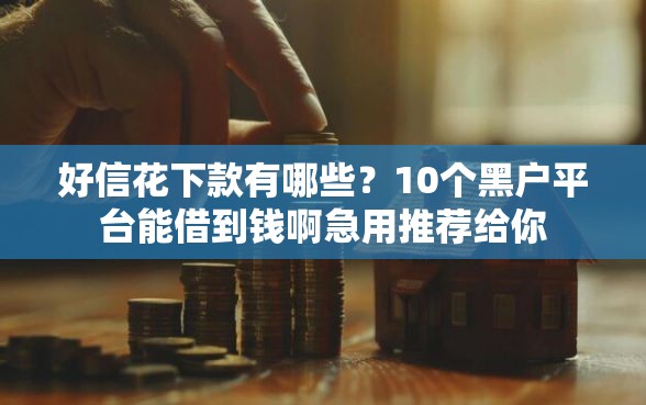 好信花下款有哪些？10个黑户平台能借到钱啊急用推荐给你