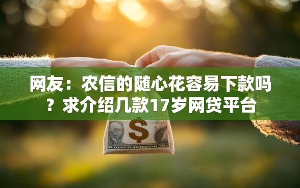 网友：农信的随心花容易下款吗？求介绍几款17岁网贷平台