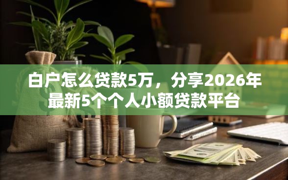 白户怎么贷款5万，分享2026年最新5个个人小额贷款平台