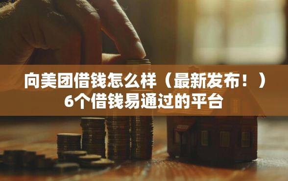 向美团借钱怎么样（最新发布！）6个借钱易通过的平台