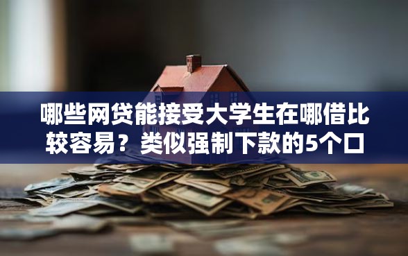哪些网贷能接受大学生在哪借比较容易？类似强制下款的5个口子参考