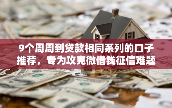 9个周周到贷款相同系列的口子推荐，专为攻克微借钱征信难题