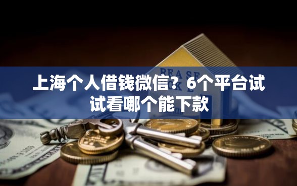 上海个人借钱微信？6个平台试试看哪个能下款
