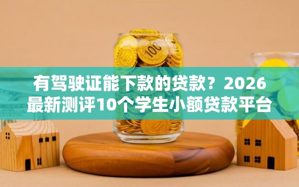 有驾驶证能下款的贷款？2026最新测评10个学生小额贷款平台