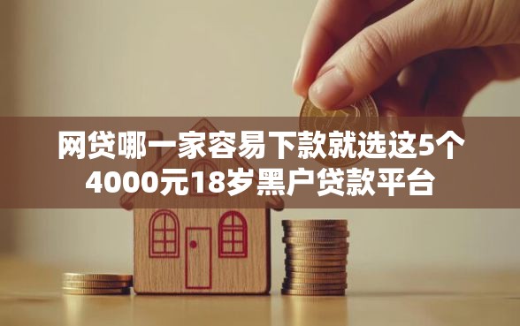 网贷哪一家容易下款就选这5个4000元18岁黑户贷款平台